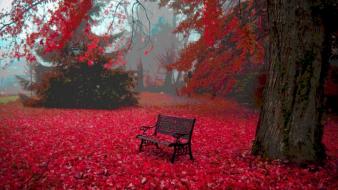 Leaves bench serene carpet surrounded background sea wallpaper