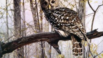 Owls wallpaper