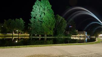 Trees night lights walk bridges romania roads parks wallpaper
