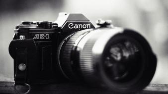 Vintage cameras cannons pentax wallpaper
