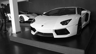 White italian lamborghini aventador garages roadster wallpaper
