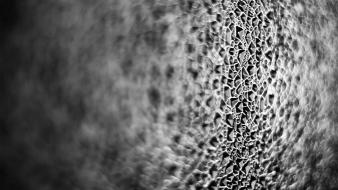 Close-up glass grayscale macro wallpaper
