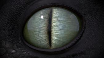 Eyes dragons wallpaper