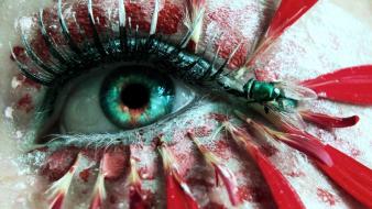 Fly eye wallpaper