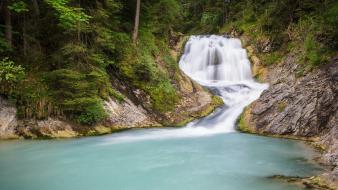 Forest rivers wallpaper