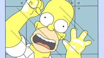 Humor funny homer simpson the simpsons wallpaper