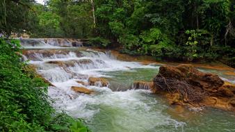 Landscapes nature trees waterfalls wallpaper