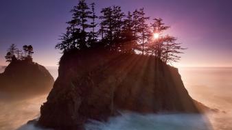 Landscapes trees sunlight wallpaper