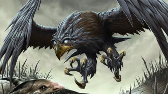 Magic the gathering hawk artwork dave allsop wallpaper