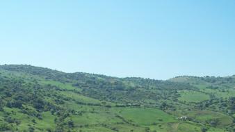 Mountains landscapes nature trees italy rivers calabria wallpaper
