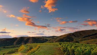 Nature animals hills plants month wallpaper