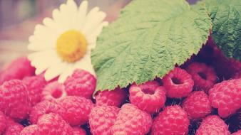 Nature flowers fruits leaves raspberries wallpaper