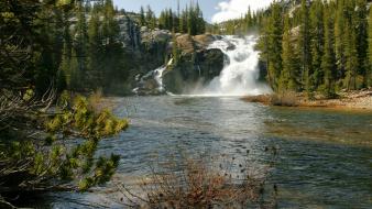 Nature trees waterfalls wallpaper