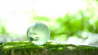 Nature water drops macro wallpaper