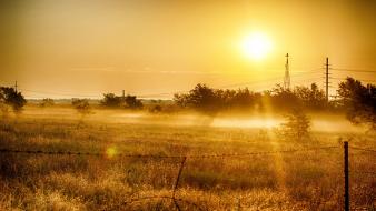 Sunrise landscapes nature sun dawn fields fog golden wallpaper
