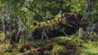 Moss artwork traditional art ivan shishkin russian wallpaper