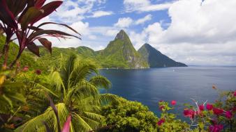 Bay palm trees saint lucia sea wallpaper
