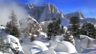 Nature winter snow wallpaper