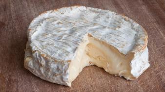 Brie cheese food tables wheel wallpaper