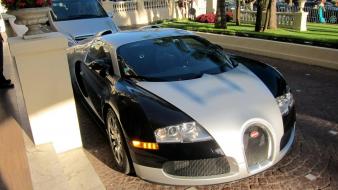 Bugatti veyron europe brands special edition wallpaper