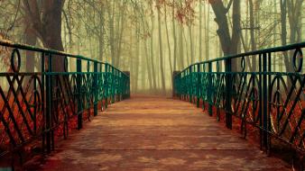 Fantasy nature trees forest seasons bridges reality kr wallpaper