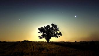 Light sunset nature trees night stars grass wallpaper
