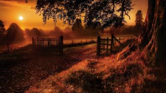 Nature sun trees old path gate wallpaper