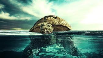 Ocean beach turtles underwater tortoise split-view sea