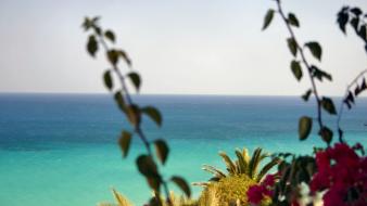 Fuerteventura wallpaper