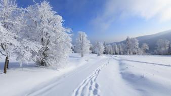 Landscapes nature snow wallpaper