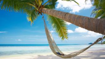 Landscapes nature beach hammock palm trees wallpaper