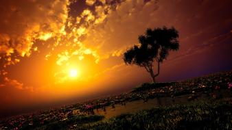 Trees flowers grass scenic digital art sky wallpaper
