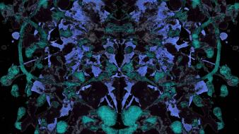 7chan rorschach test wallpaper
