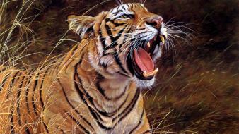 Animals artwork drawings drawn tigers wallpaper