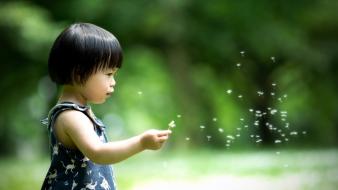 Asians bokeh dandelions straight hair blurred children wallpaper