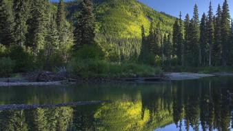 British columbia hart pine reflections wallpaper