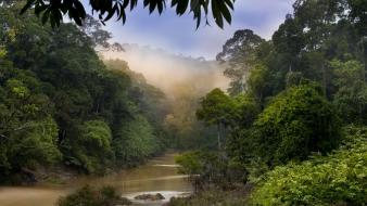 Dawn malaysia wallpaper