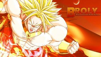 Dragon ball z broly dragonball wallpaper