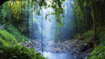 Falls australia national park new south wales wallpaper