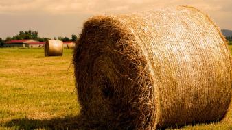 Fields hay farms wallpaper