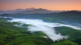 Fields valley india morning wallpaper