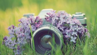 Flowers grass cameras lilac wallpaper