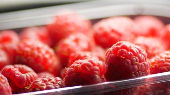 Fruits food raspberries wallpaper
