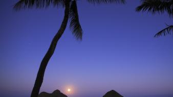 Hawaii islands palm trees oahu moonrise wallpaper