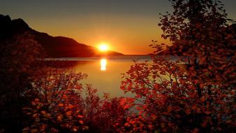 Nature wallpaper