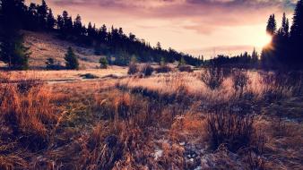 Nature wallpaper