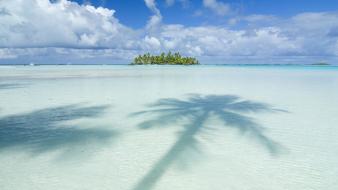 Paradise islands palm trees tahiti wallpaper