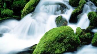 Rocks moss oregon mount jefferson waterfalls wallpaper