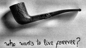 Text typography grayscale pipes ceci wallpaper