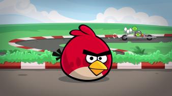 Angry birds wallpaper
